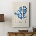 thumbnail image 5 of Blue Marine Algae IX Premium Gallery Wrapped Canvas - Ready to Hang, 5 of 9