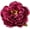 Burgundy, variant on 6 Inch Peony Flower Hair Clip Bridesmaid Pin Up Flower Brooch for Wedding Party Festivals (Burgundy)