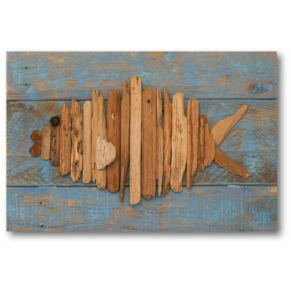 Driftwood Fish Gallery-Wrapped Canvas Wall Art, 16x20