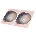 thumbnail image 1 of PRÁTICA DE PIMINACIÓN DEL CUERO CABELDO PIEL, Silicona 2pcs Prepint -Hombre Calvo Micropigmentation Práctica de la Piel para la Piel para la Práctica del Cuero Cabelludo, 1 of 7