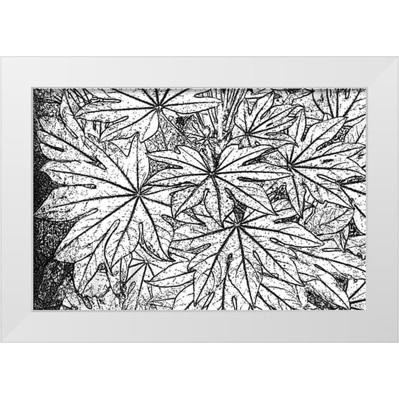Murdock, Ramona 14x11 White Modern Wood Framed Museum Art Print Titled - Botanical BW II