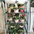 thumbnail image 3 of 4 Tier PVC Greenhouse Cover - Replacement Mini Garden Greenhouse Cover for, 3 of 5
