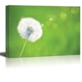thumbnail image 1 of Canvas Prints Wall Art - Spring Dandelion on Green Natural Background - 32" x 48", 1 of 3