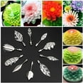 thumbnail image 3 of sasyxdc 3D Jelly Art Tools Set  20PCs Stainless Steel Gelatin Art Tools with 2Pcs Syringe  Pudding-Nozzle Flower Cake Decoration Tool DIY Needle Tips Pastry Tools for Cake Making dyu, 3 of 6
