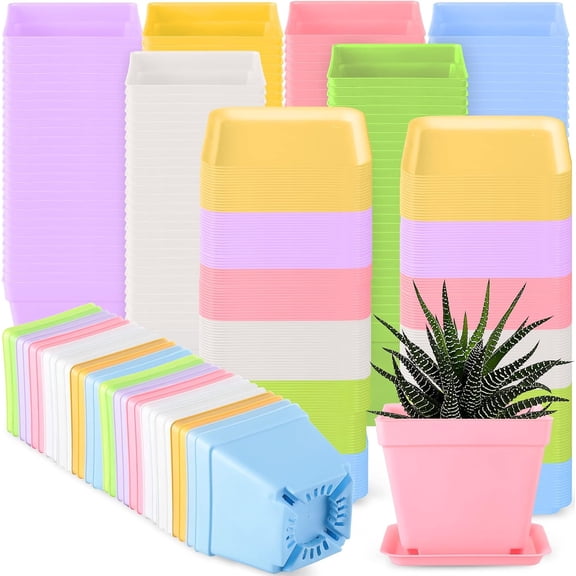 100 Pcs 4 Inch Flower Pots Square Plants Nursery Pot Plastic Plant Seedling Pots Small Nursery Transplanting Planter Container with Saucer for Indoor Succulent Balcony Garden (Classic Color)