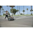 Allen Sports Deluxe 2Child Bicycle Trailer & Stroller, Model AS2