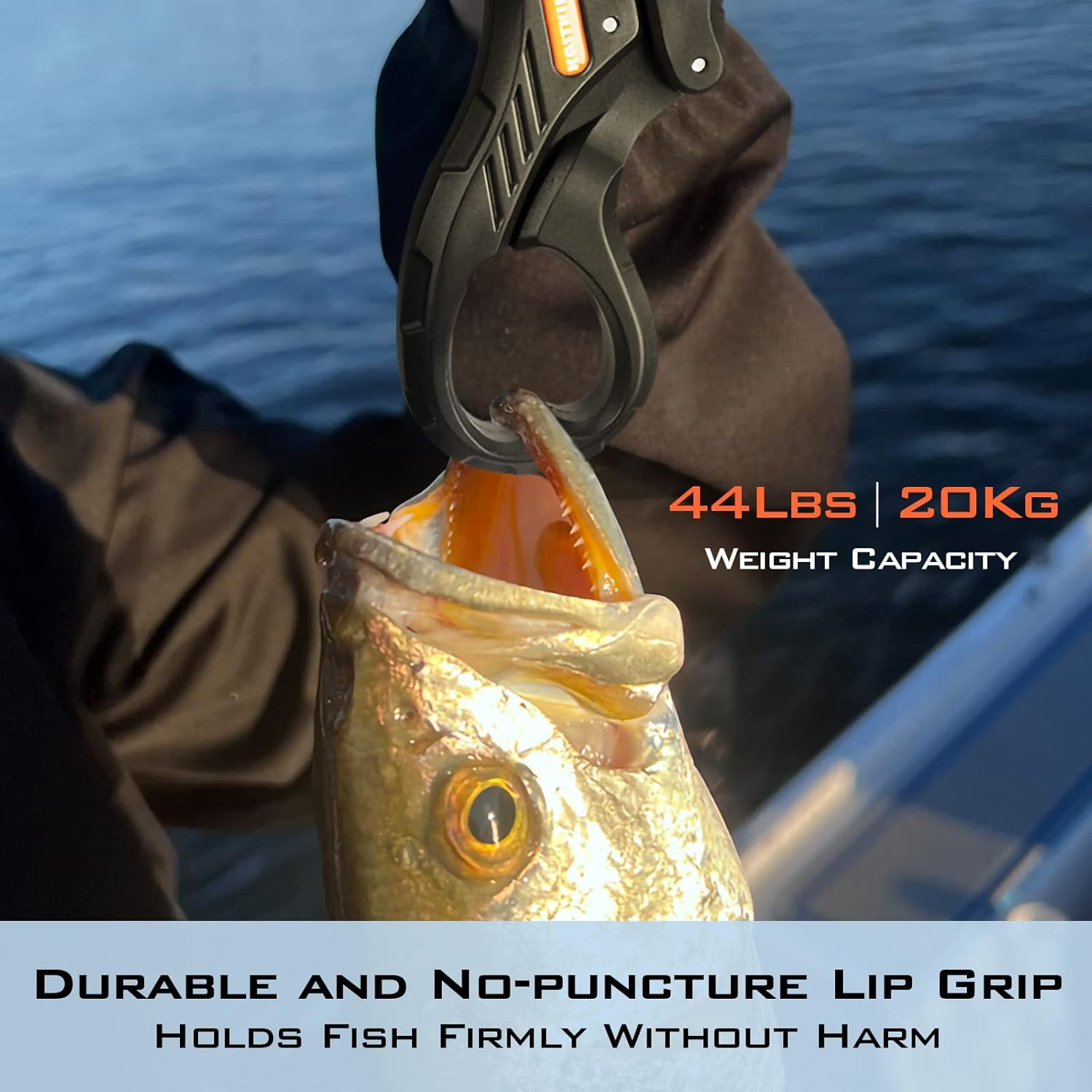 KastKing Fishing Net, Foldable & Lightweight Landing Net with Built in Length Scale Pontus