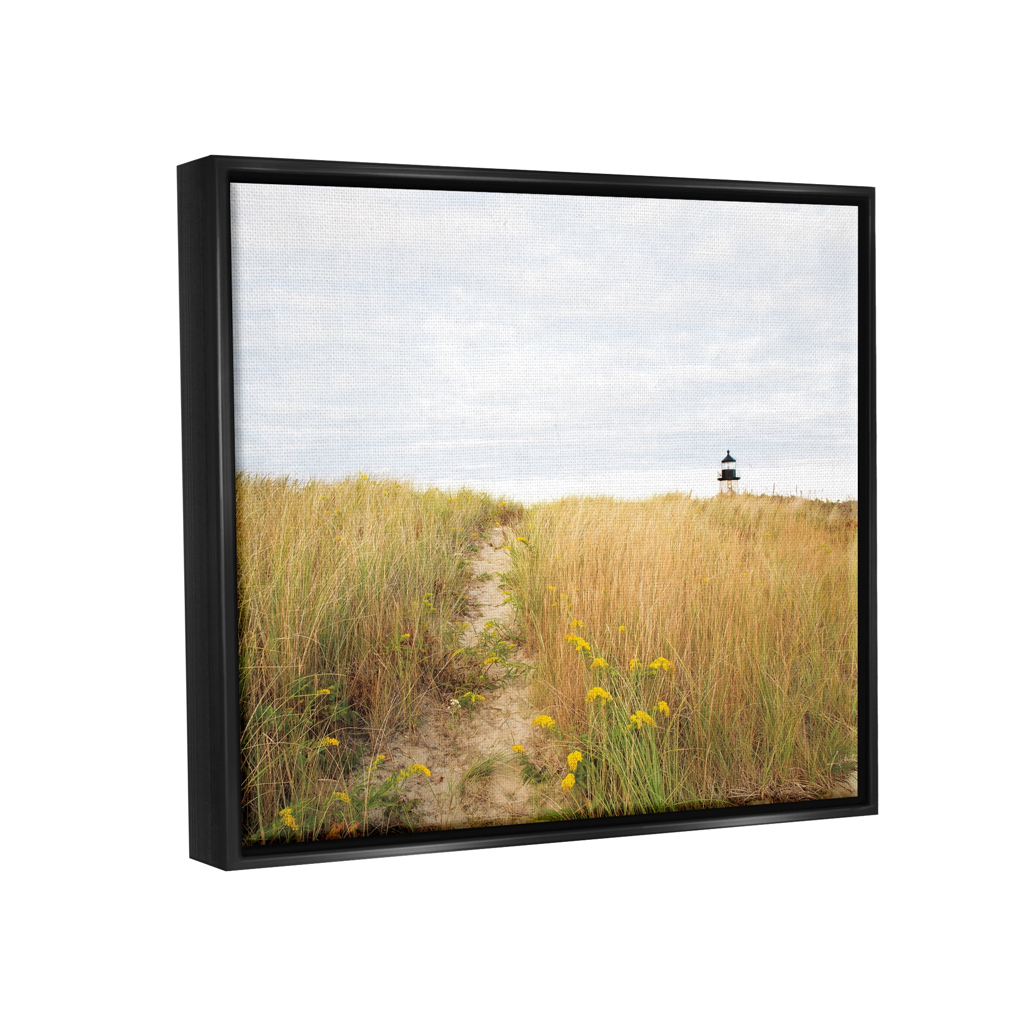 Stupell Industries Lighthouse Grassland Scenery Nature Photography Black Floater Framed Art Print Wall Art, 21 x 17