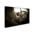 thumbnail image 2 of Trademark Fine Art 'Where Would You Go with a Lasso?' Canvas Art by Dan Ballard, 2 of 3