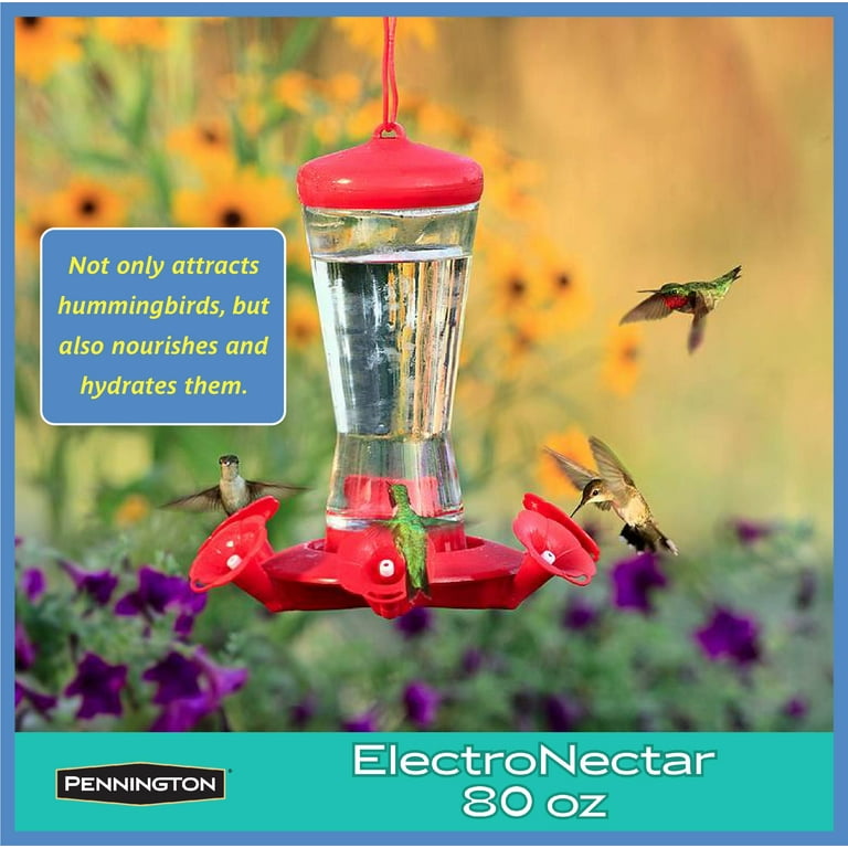 Pennington Decorative Hummingbird Feeder Shelly Lighting