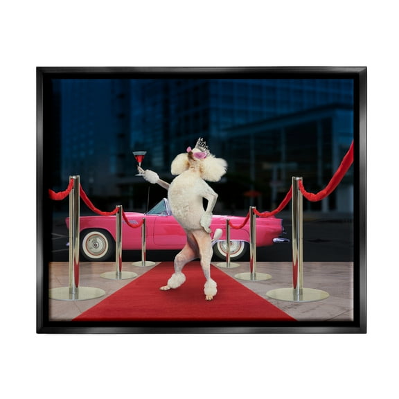 Stupell Industries Funny Red Carpet Poodle Animals & Insects Painting Black Floater Framed Art Print Wall Art, 21 x 17