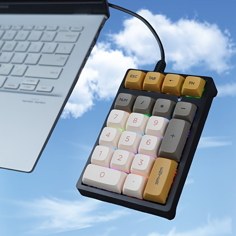 Mechanical Numeric Keypad Blue Switch mini Wired Keyboard Computer Numpad Laptop PC Accounting business workers Number