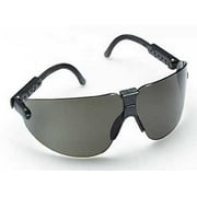 3M Safety Glasses,Gray 15204-00000-20