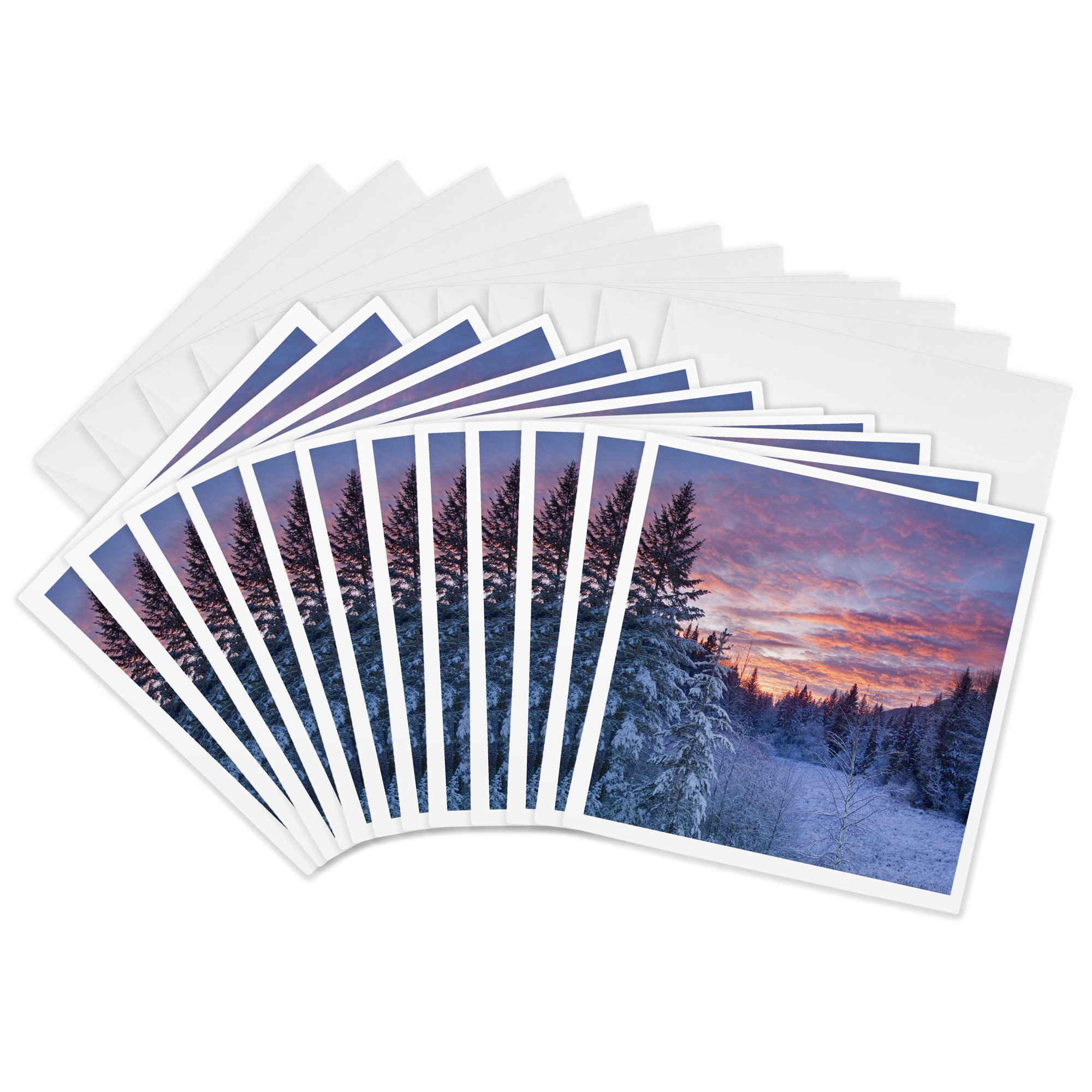 3drose Winter Meadow Flathead National Forest of Montana - Us27 Cha1938 - Chuck Haney 12 Greeting Cards with Envelopes