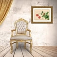 thumbnail image 3 of Ruoai, Zhang 14x11 Gold Ornate Wood Framed with Double Matting Museum Art Print Titled - Peony, 3 of 4