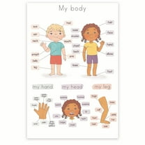 My Body Kids Visual Chart Poster - Human Body Educational Poster - Kids Anatomy Poster - Child-Friendly Anatomy Chart - 12 x 18 Inch Poster - Unframed - Premium 100lb Gloss - Made In USA - BMCP0390