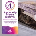 thumbnail image 3 of SmartyKat Catnip Caves Paper Bag Cat Toys, Scratch Activated Catnip Scent, 2 count, 3 of 10