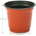thumbnail image 2 of Containers Containing 4-inch /6 In Plant Flowerpot Seeds, with Labels., 2 of 7