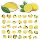 thumbnail image 2 of 50 pegatinas de limones de dibujos animados. Adorables pegatinas de limones para maletas y ordenadores., 2 of 8