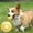 Yellow, variant on Byujiro Paw Print Dog Tennis Ball Solid Elastic Ball Interactive Fetch & Chew Toys for Small to Medium Dogs