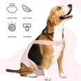 thumbnail image 2 of QBLEEV Dog Diaper Sanitary Pantie with Adjustable Suspender Washable Reusable Puppy Sanitary Panties Cute Pet Underwear Diaper Jumpsuits for Female Dogs-XL, 2 of 7