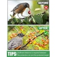 thumbnail image 3 of Red para pájaros de 3x5 pies con malla cuadrada de 1", red de jardín reutilizable para gallinero, red de nailon para aves de corral para proteger árboles frutales vegetales de las ardillas., 3 of 5