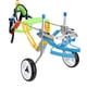 thumbnail image 4 of Silla de ruedas ajustable para perros para rehabilitación de patas traseras, 4 of 10