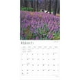 thumbnail image 3 of Yosemite | 2025 12x24" (Hanging) Square Wall Calendar | Plastic-Free | BrownTrout, 3 of 9