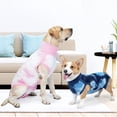 thumbnail image 5 of High Elasticity Pet Sterilization Suit - Prevent Infection - Dog Rehabilitation Protective Clothing, 5 of 8