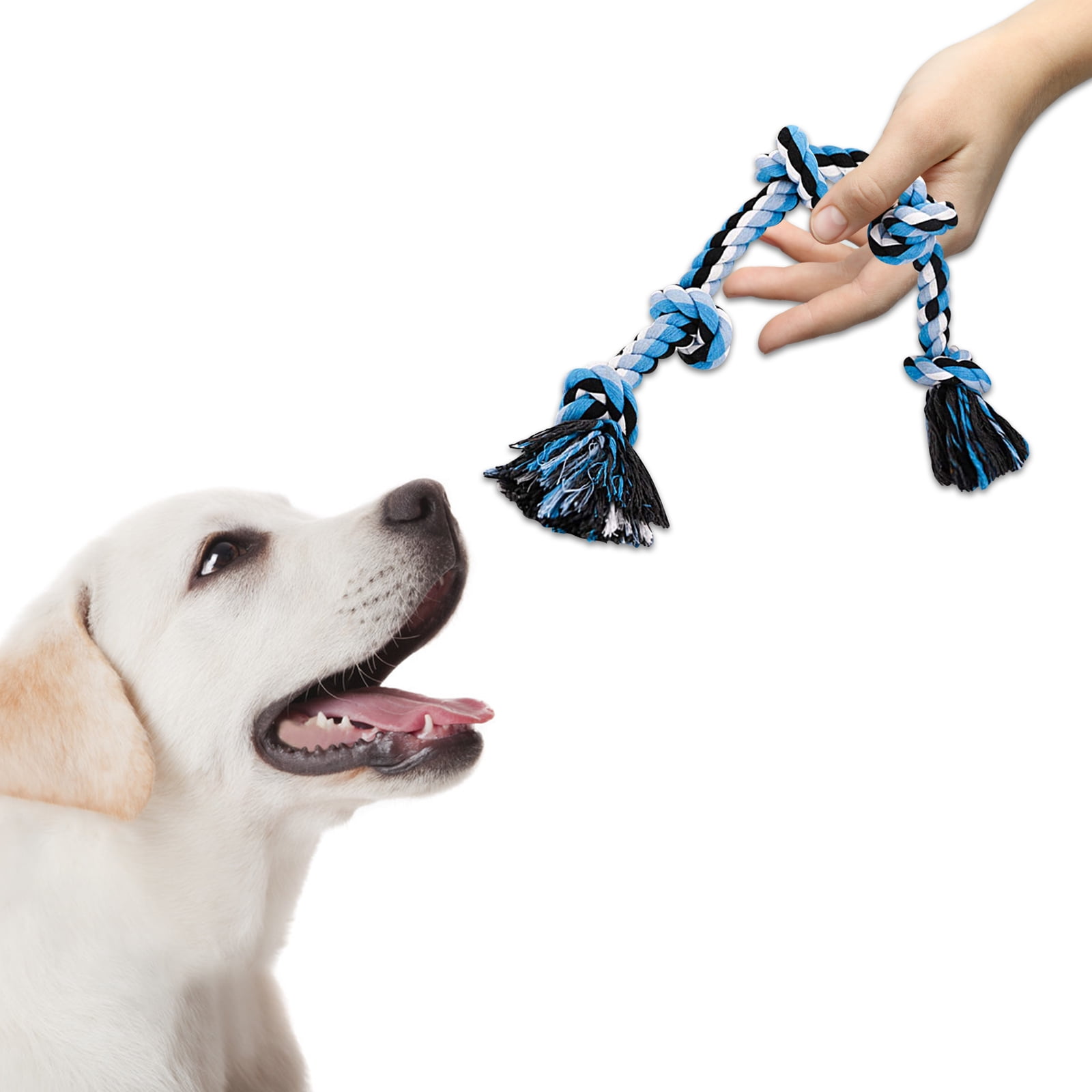 Can You Wash Dog Rope Toys