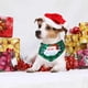 thumbnail image 5 of Para Mascotas, Baberos Triangulares Para Perros Y Gatos, Pañuelo Para Mascotas, Toalla Para Saliva Para Fiesta De Cumpleaños Y Navidad Scienceny HA045771-02, 5 of 6