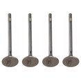 thumbnail image 1 of Kit 4 Válvulas De Escape OEM F-600 Super Duty V8 6.7l de 2020 a 2026 Ford Original, 1 of 7