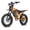 Orange, variant on BIGNIU BG-S Electric Bike for Adults – 20" Fat Tire, 740W Motor, 48V 15A Battery, 7-Speed, Dual Disc Brakes for Off-Road and City Riding UL2849