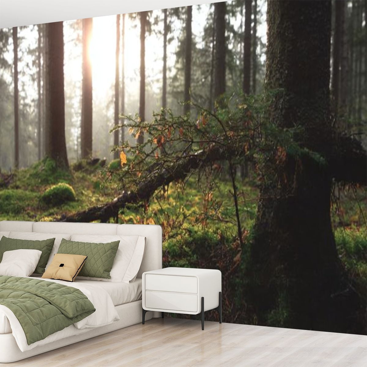 Peel and Stick Wallpaper sunrise between tree trunks forest Modern Art Wall Mural Decor Self Adhesive and Removable 69in x 98in