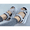 Grey, variant on Classic Platform Wedge Sandals: Casual Summer Adjustable High Heel Travel Outdoor Shoes for Women