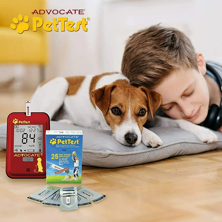 Diabetic test strips for dogs online