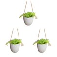 thumbnail image 3 of Moyic Jarrón de plantas con tecnología cultivable en agua, forma de escaparate, maceta pequeña verde, se puede colocar, blanco plano, 10cm Type1 NO1, 3 of 6