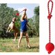 thumbnail image 3 of Juguetes pequeños para mascotas, juguetes para perros con cuerda de goma, juguetes de entrenamiento para gatos., 3 of 5