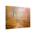 thumbnail image 2 of Patrick Zephyr 'Passing Through The Path' Wood Slat Art 12x16, 2 of 5