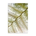 thumbnail image 2 of Gango Home Decor Fern by Karyn Millet (Printed on Paper); One 24x36in Fine Art Paper Giclee Print, 2 of 4