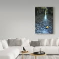thumbnail image 3 of Trademark Fine Art 'Hanging On' Canvas Art by Pierre Leclerc, 3 of 3