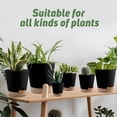 thumbnail image 2 of West Bay 6-Pack Self Watering Planters, Indoor Outdoor Large Flower Pot Plant Pots with Drainage Holes and Saucers, 8, 7, 6.5, 6, 5.5, 5 Inches, Black, 2 of 8