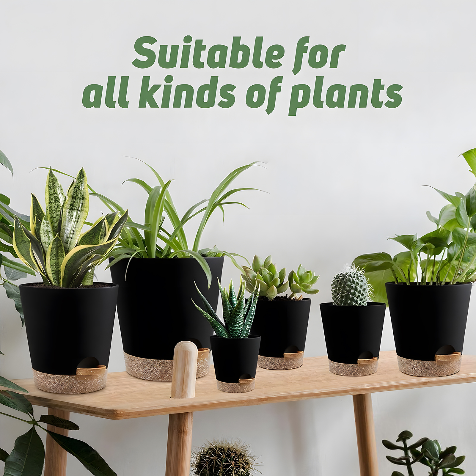 West Bay 6-Pack Self-Watering Plant Pots with Drainage, Black photo 2