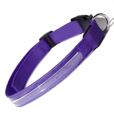 Paws & Pals Dog Collar LED Color Flashing Light Visible Night Walk - XL - Purple