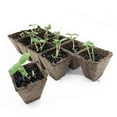 thumbnail image 6 of Jiffy-Strips Biodegradable Seed Starting Peat Strip (50 Pots), Has Drainage, 6 of 8