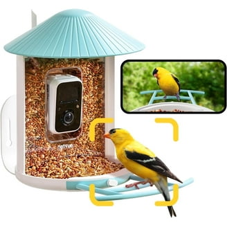 Bird Buddy Solar Powered Bird Feeder with Camera & AI Species