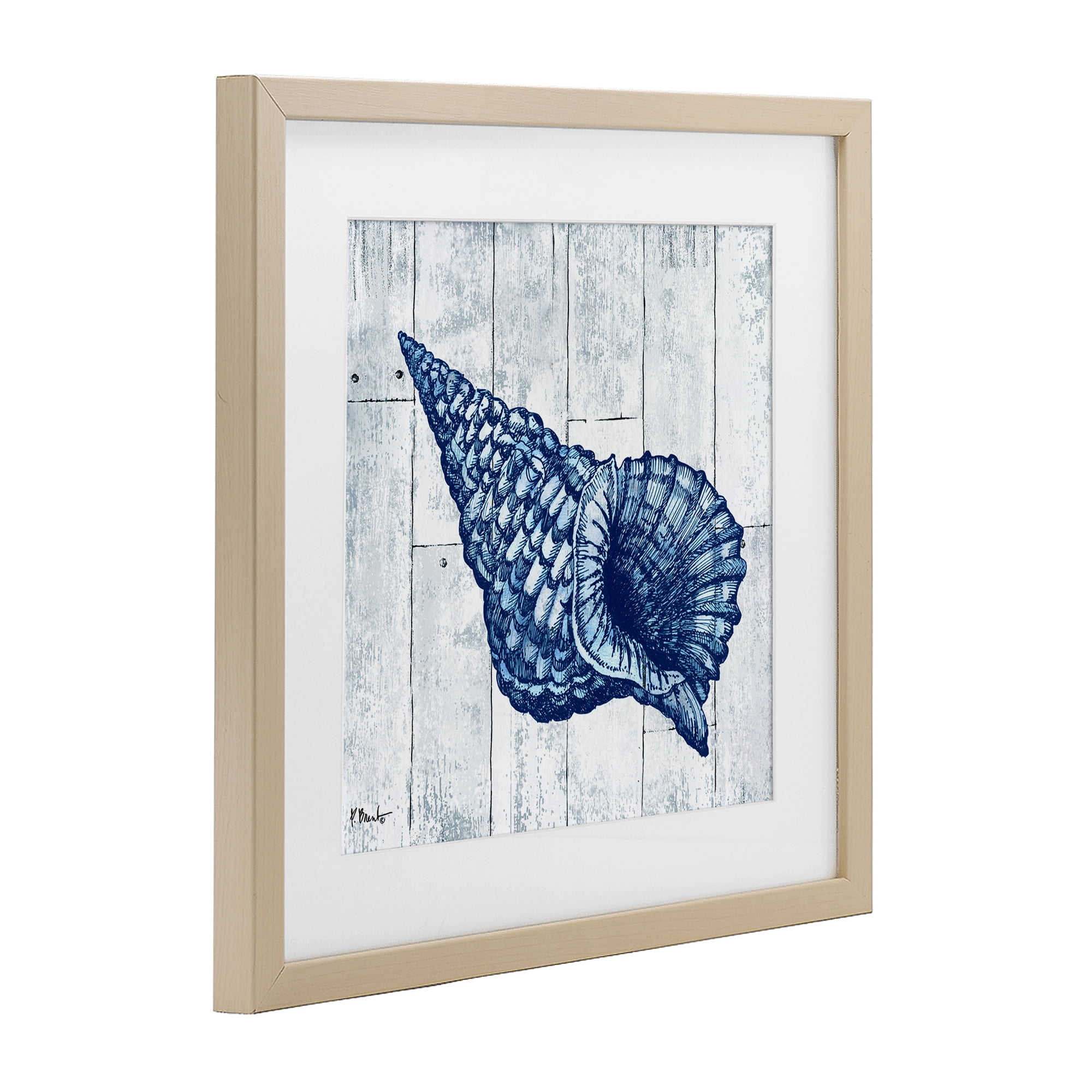Stupell Industries Coastal Timberland Conch Birch Framed Print Under Glass, design by Paul Brent