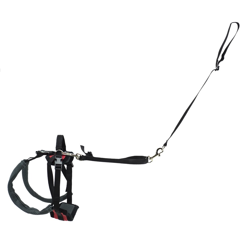 PetSafe CareLift Rear Support Harness, Lifting Aid with Handle, Great