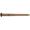 thumbnail image 1 of Tornillo Hillman 1858 8x2 de latón con cabeza redonda ranurada, paquete de 20, 1 of 1