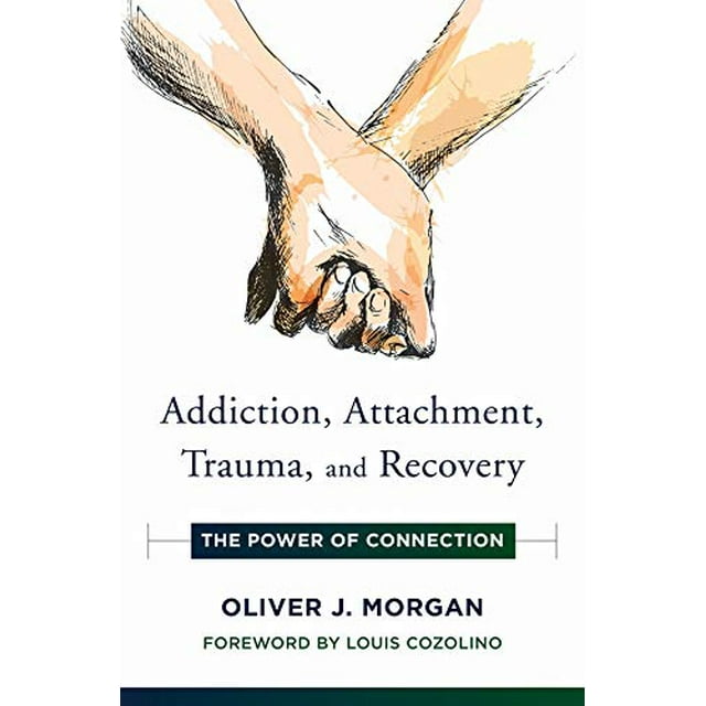 Addiction, Attachment, Trauma and Recovery: The Power of Connection (Norton Series on Interpersonal Neurobiology)